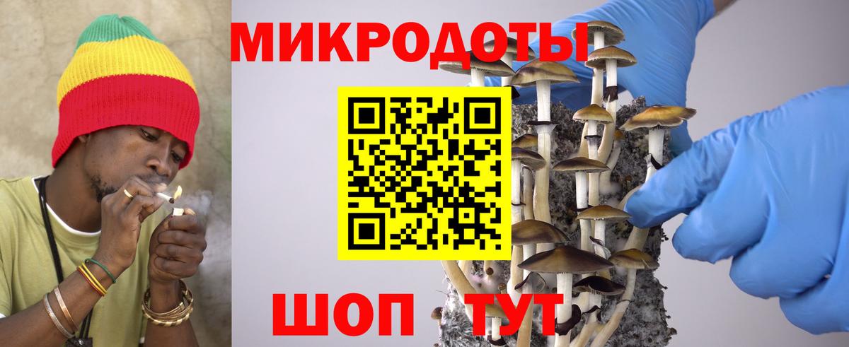 Псилоцибиновые грибы мицелий Анапа