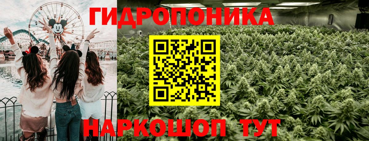 Бошки Шишки VHQ Анапа